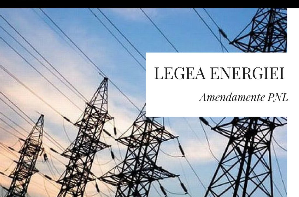 Legea energiei a fost aprobată astăzi în plenul Camerei Deputaților, care este și camera decizională