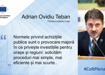 Adrian Teban: Raportul privind eficientizarea achizițiilor publice a fost adoptat