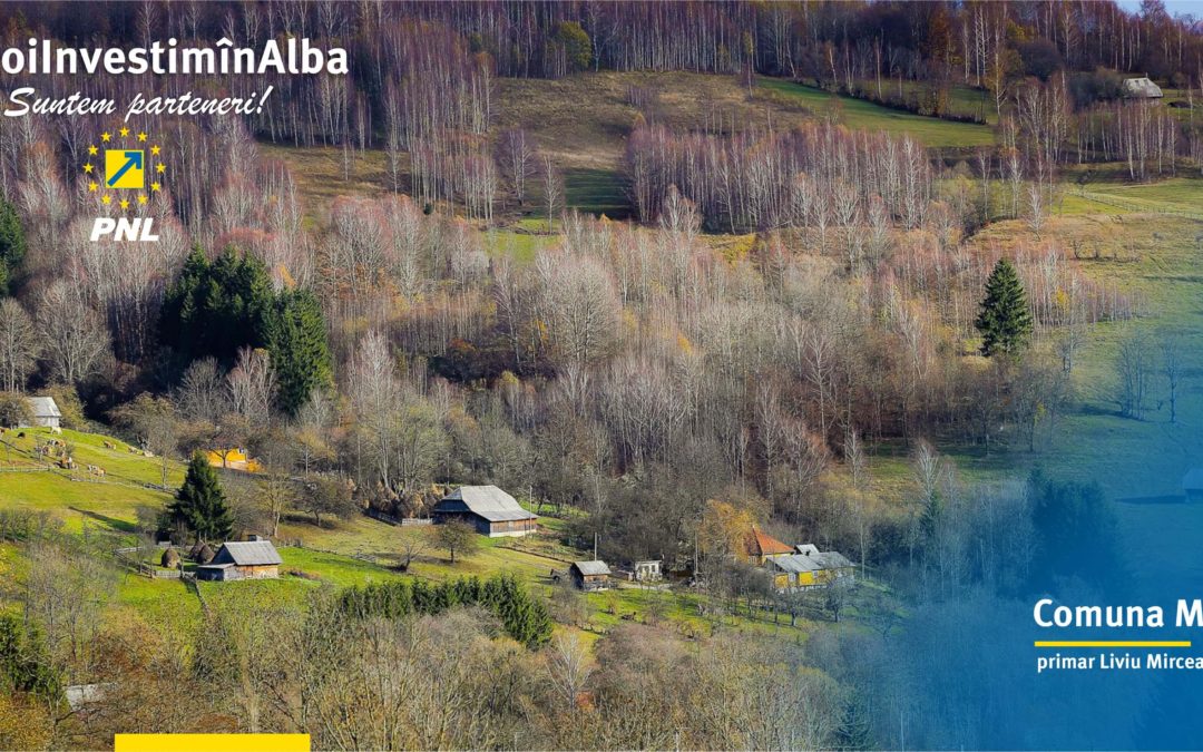 Comuna Mogoș: am conectat gospodăriile din comună la rețeaua județeană de transport