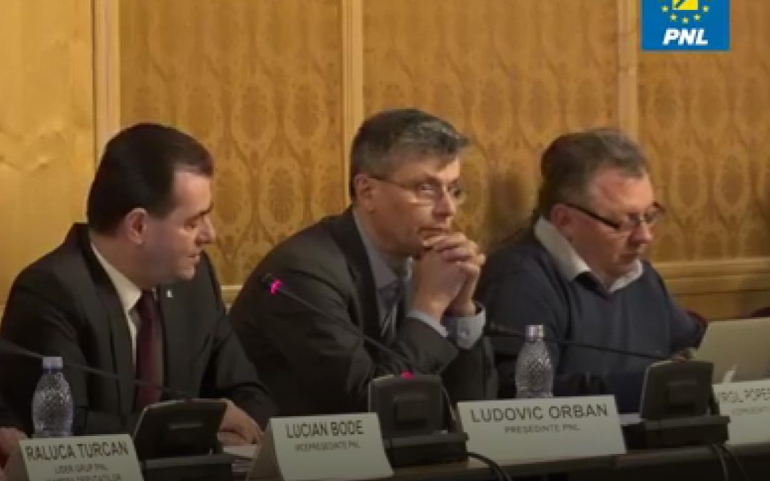 PNL caută soluții pentru evitarea crizei energetice generate de măsurile aberante ale PSD
