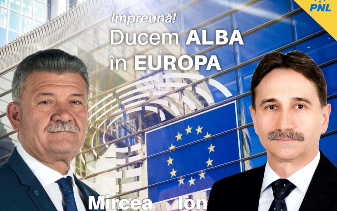 Ion Dumitrel: PNL e singurul partid care poate promova o Românie sigură și demnă în Europa