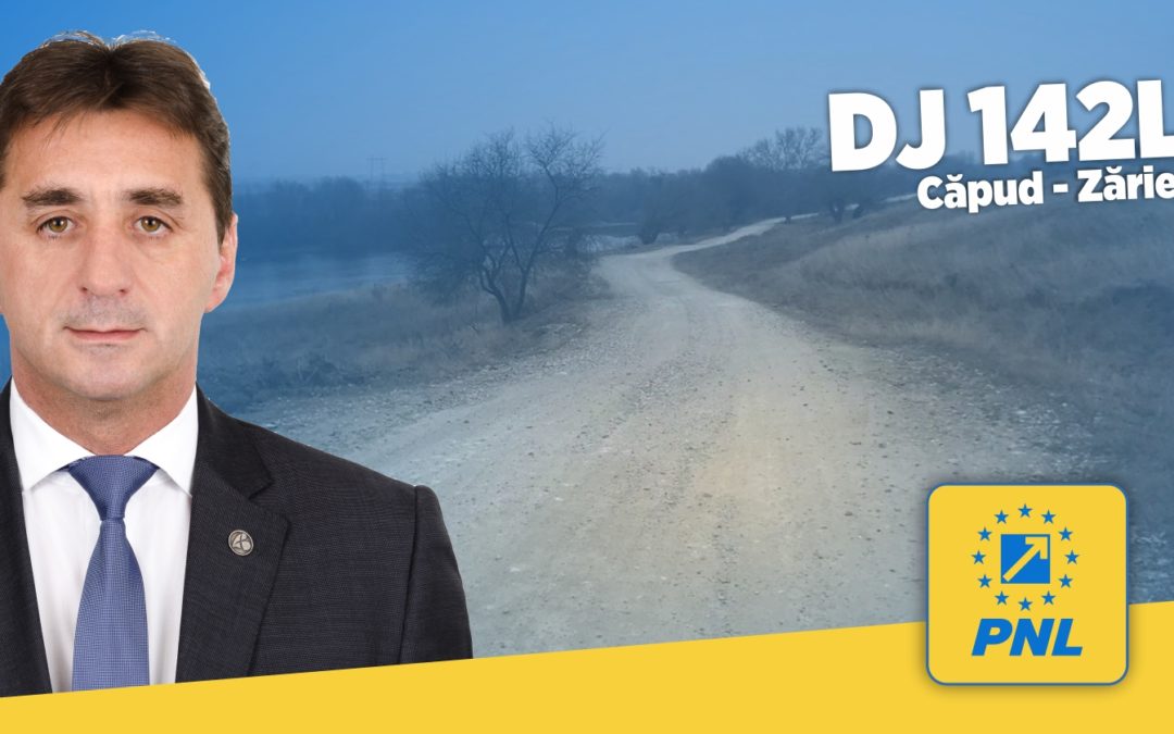 Marius Haţegan, Vicepreşedinte CJ Alba: DJ 142 L, un nou drum judeţean care va fi modernizat anul acesta