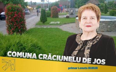 Lenuța Bubur: proiectele pentru dezvoltarea infrastructurii au sporit gradul de confort al locuitorilor din comuna Crăciunelu de Jos