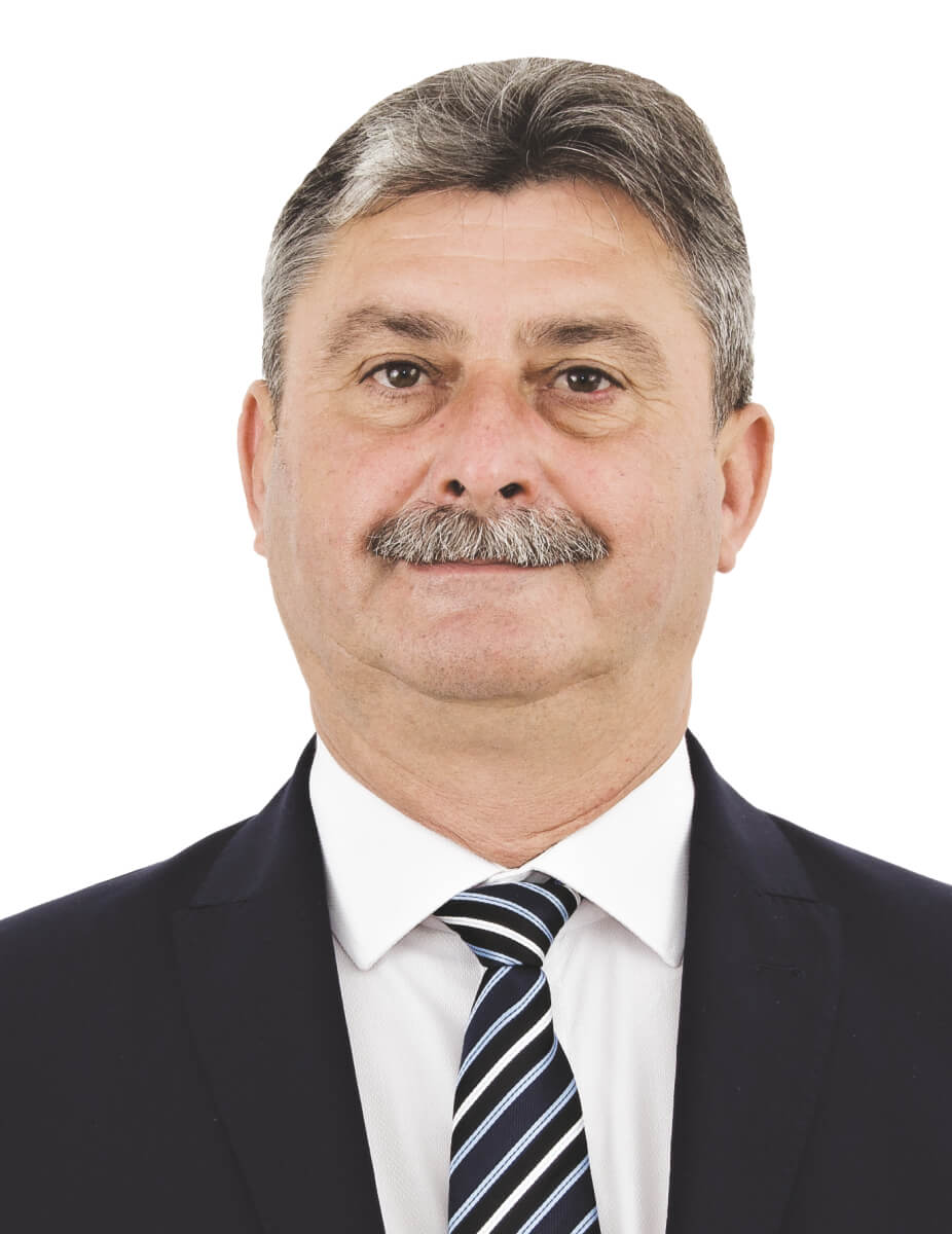 Florin MĂRGINEAN